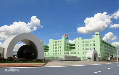 Chiny Runmei(Fujian) Paper Co., Ltd profil firmy