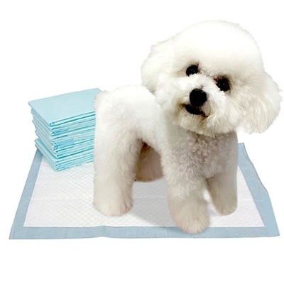 Jednorazowe klocki dla zwierząt Agility Training Białe 45x60cm 33x45cm 60x60cm